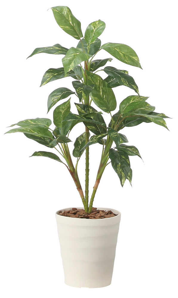 光触媒 人工観葉植物 造花 フィロ90 (高さ90cm)
