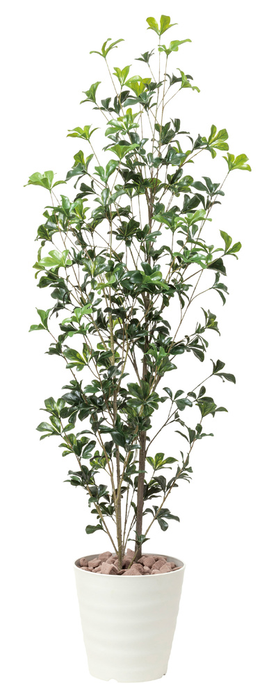 光触媒 人工観葉植物 造花 シェフレラツリー1.7(ポリ製) (高さ170cm)