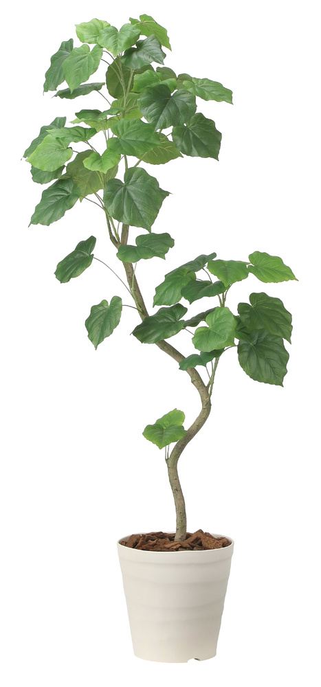 光触媒 人工観葉植物 造花 ツイストウンベラータ1.6 (高さ160cm)