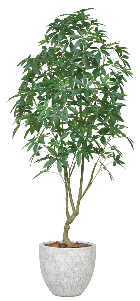 光触媒 人工観葉植物 造花 ナチュラルパキラ2.5(組立式) (高さ250cm)