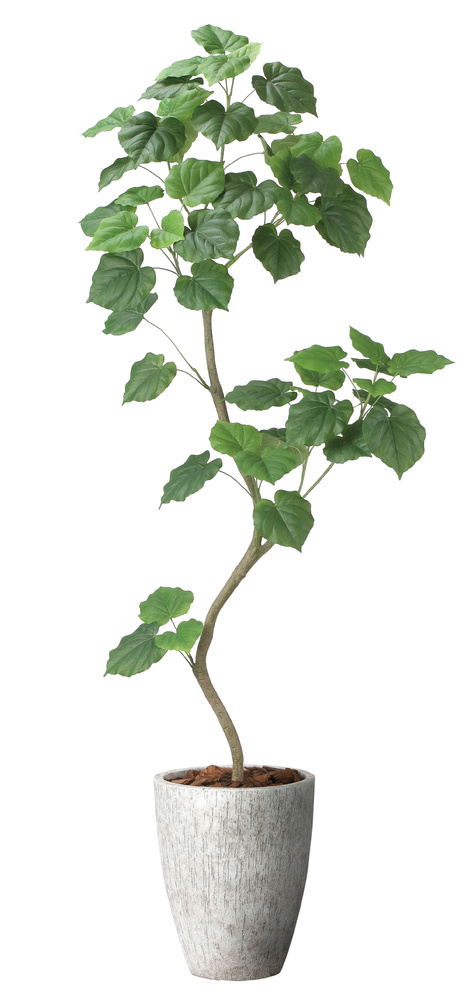 光触媒 人工観葉植物 造花 ナチュラルウンベラータ1.9(組立式) (高さ190cm)
