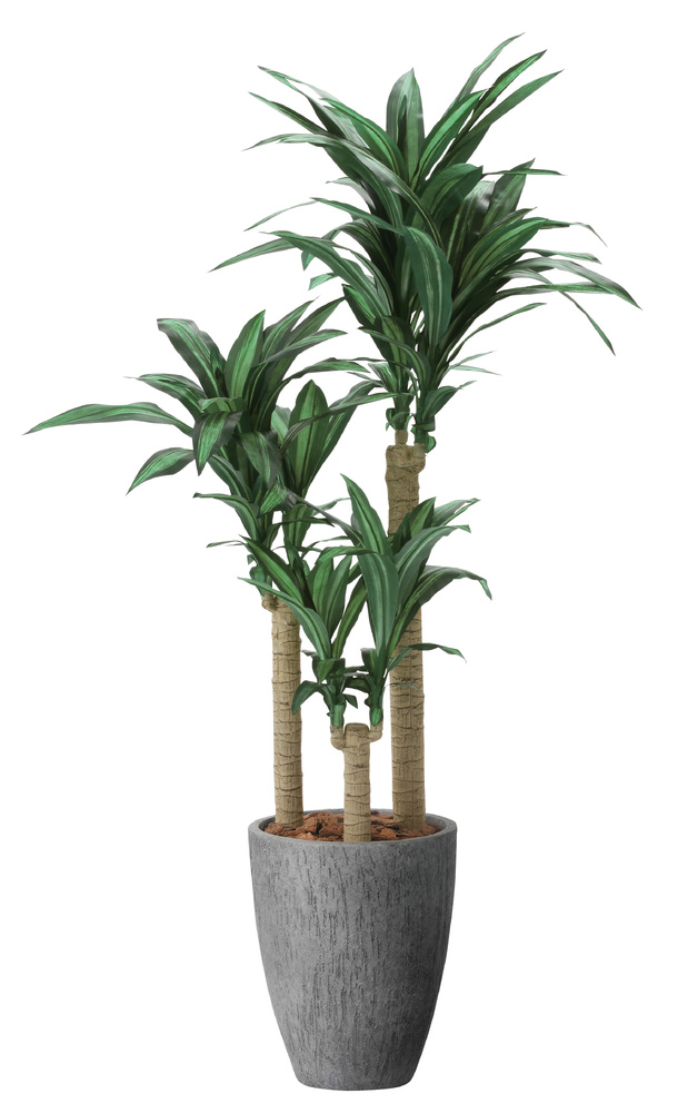 光触媒 人工観葉植物 造花 ナチュラル幸福の木1.65 (高さ165cm)