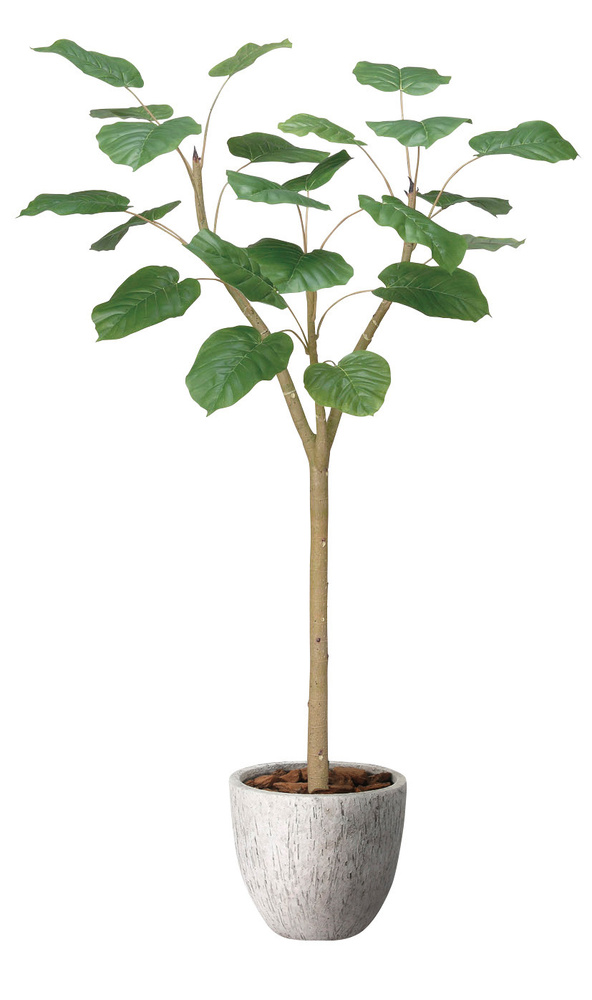 光触媒 人工観葉植物 造花 ナチュラルウンベラータ1.5 (高さ150cm)