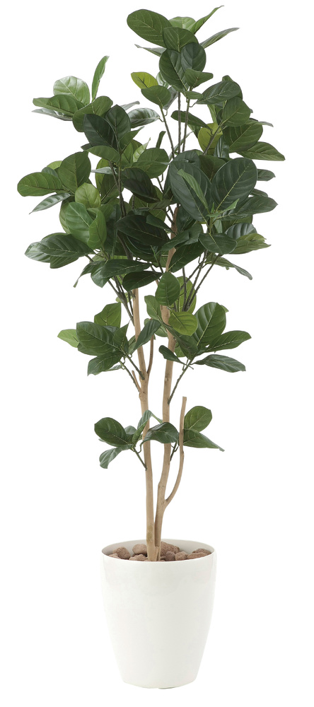 光触媒 人工観葉植物 造花 パンの木1.25 (高さ125cm)