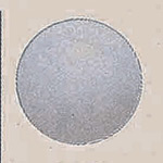 デコバルーン (10枚入) 23cm 銀 (SAGD6456)