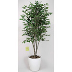 光触媒 人工観葉植物 ベンジャミンツリー 1.6 (高さ160cm)