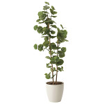 光触媒 人工観葉植物 シーグレープ1.6 (高さ160cm)