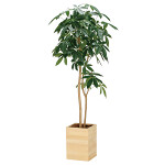 光触媒 人工観葉植物 造花 ウッドボックスパキラ1.6 (高さ160cm)