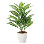 光触媒 人工観葉植物 造花 ディフェンバキアM (高さ60cm)
