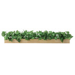 光触媒 人工観葉植物 造花 ウッドボックスZP (高さ17cm)