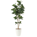 光触媒 人工観葉植物 造花 パンの木1.25 (高さ125cm)