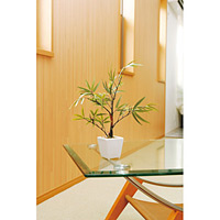 光触媒 人工観葉植物 黒竹 (高さ35cm)