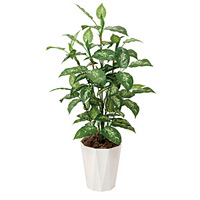 光触媒 人工観葉植物 ディフェンバキア1.1 (高さ110cm)
