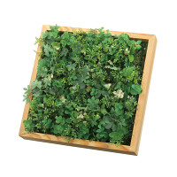光触媒 人工観葉植物 造花 壁掛けウッドボックス (高さ10cm)