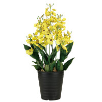光触媒 人工観葉植物 造花 オンシジュームL (高さ53cm)
