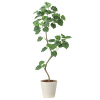 光触媒 人工観葉植物 造花 ツイストウンベラータ1.9(組立式) (高さ190cm)