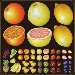 フルーツ(2) 看板・ボード用イラストシール 柑橘系(W285×H285mm