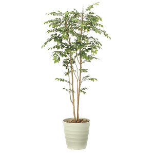 光触媒 人工観葉植物 マウンテンアッシュ1.8 (高さ180cm) - 店舗用品 