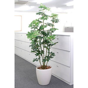 光触媒 人工観葉植物 カポック 1.8 (高さ180cm) - 店舗用品通販の