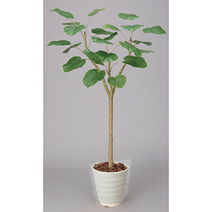 光触媒 人工観葉植物 ウンベラータ 1.8 (高さ180cm) - 店舗用品通販の