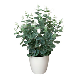 光触媒 人工観葉植物 ユーカリ (高さ42cm) - 店舗用品通販のサイン