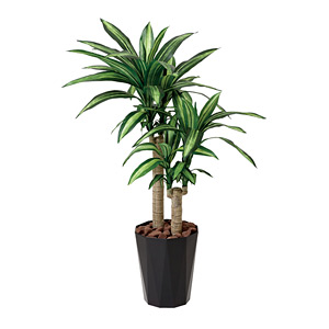 光触媒 人工観葉植物 幸福の木1.1 (高さ110cm) - 店舗用品通販の