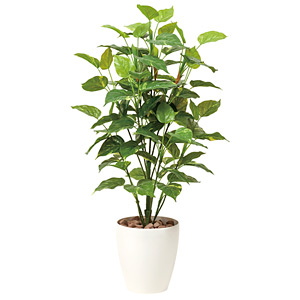 光触媒 人工観葉植物 フレッシュポトス1.0 (高さ100cm) - 店舗用品