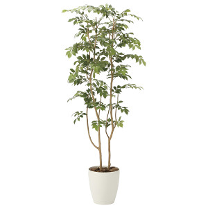 光触媒 人工観葉植物 マウンテンアッシュ1.6 (高さ160cm) - 店舗用品
