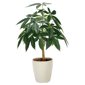 光触媒 人工観葉植物 造花 パキラリーフツリー72 (高さ72cm) - 店舗用品通販のサインモール