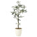 光触媒 人工観葉植物 オリーブツリー1.3 (高さ130cm)