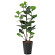 光触媒 人工観葉植物 造花 シーグレープDX1.25 (高さ125cm)