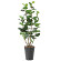 光触媒 人工観葉植物 造花 シーグレープDX1.7 (高さ170cm)