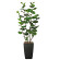 光触媒 人工観葉植物 造花 アーバンシーグレープ1.8 (高さ180cm)