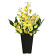 光触媒 人工観葉植物 造花 オンシジューム (高さ40cm)