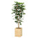 光触媒 人工観葉植物 造花 ウッドボックスベンジャミン1.8 (高さ180cm)