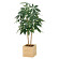 光触媒 人工観葉植物 造花 ウッドボックスパキラ1.0 (高さ100cm)