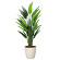 光触媒 人工観葉植物 造花 フレッシュトラベラーズパーム1.7 (高さ170cm)