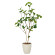 光触媒 人工観葉植物 造花 サラサドウダン1.2 (高さ120cm)