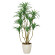 光触媒 人工観葉植物 造花 DXユッカ1.6 (高さ160cm)