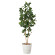 光触媒 人工観葉植物 造花 パンの木1.6 (高さ160cm)