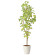 光触媒 人工観葉植物 造花 スリムバウヒニア1.5 (高さ150cm)