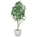 光触媒 人工観葉植物 造花 ナチュラルパキラ2.5(組立式) (高さ250cm)