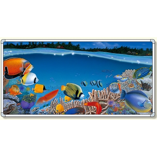 イラストパネル 熱帯魚 870 1740mm 902 72 安全用品 工事看板通販のサインモール