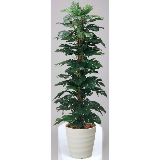 光触媒 人工観葉植物 スプリットフィロ 1.8 (高さ180cm) 店舗用品