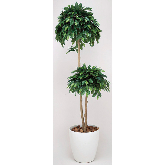 光触媒 人工観葉植物 ベンジャミンダブル 1.6 (高さ160cm) - 店舗用品