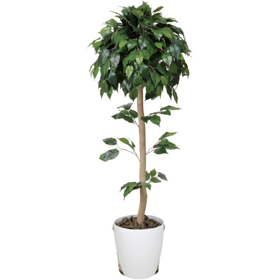 光触媒 人工観葉植物 ベンジャミントピアリー 1.5 (高さ150cm) - 店舗