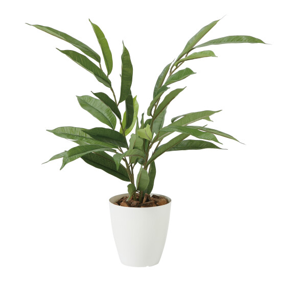 光触媒 人工観葉植物 造花 アムステルラバーキング55 (高さ55cm)