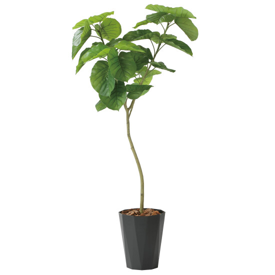 光触媒 人工観葉植物 造花 フレッシュデザインウンベラータ1.8 (高さ180cm)