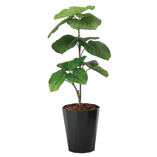 光触媒 人工観葉植物 造花 フレッシュウンベラータ1.0 (高さ100cm)