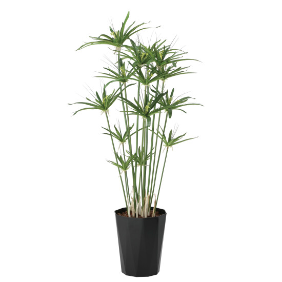 光触媒 人工観葉植物 造花 パピルス1.25 (高さ125cm)